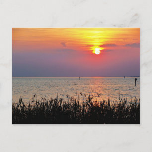Carte Postale Coucher de soleil sur le lac de Constance dans le 