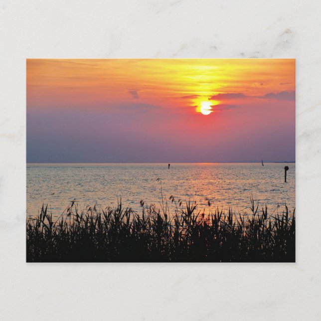Carte Postale Coucher de soleil sur le lac de Constance dans le  (Devant)