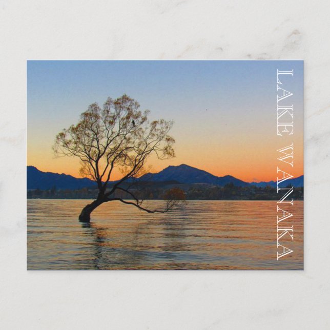 Carte Postale coucher de soleil sur le lac wanaka (Devant)
