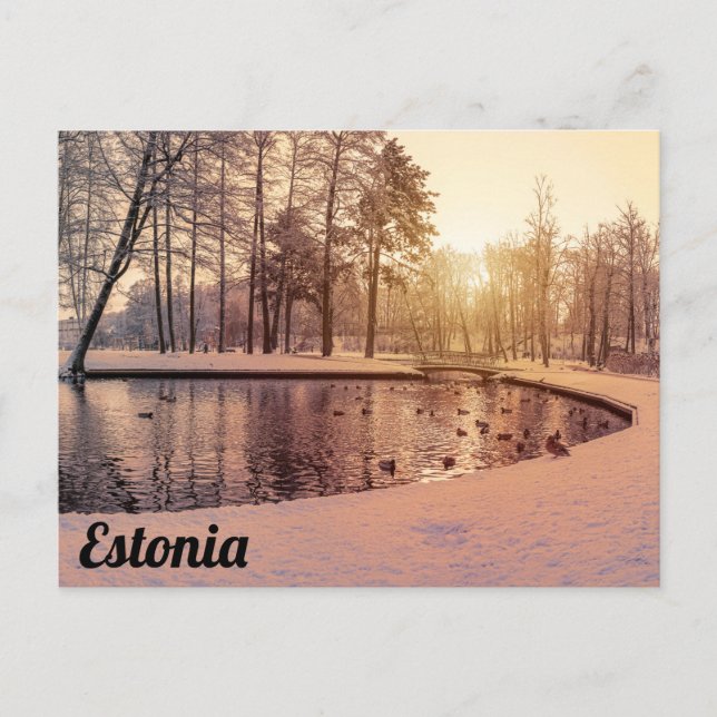 Carte Postale Coucher de soleil sur le parc avec petit lac gelé (Devant)