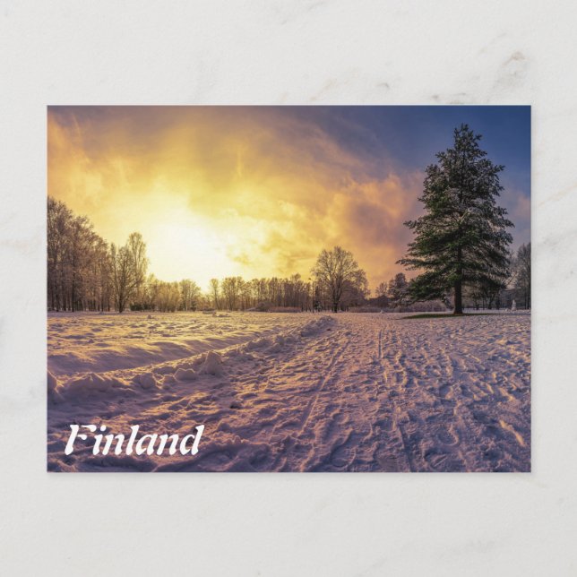 Carte Postale Coucher de soleil sur le parc d'hiver enneigé (Devant)