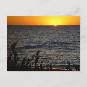 Carte Postale Coucher De Soleil Sur L'Île Rottnest