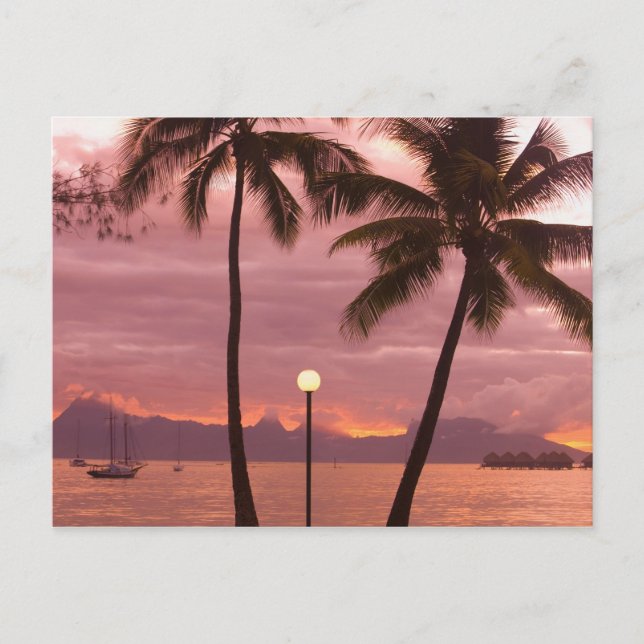 Carte Postale Coucher de soleil sur Moorea depuis Sofitel Maeva  (Devant)