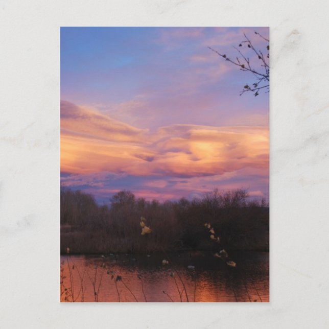 Carte Postale Coucher de soleil sur Pond (Devant)