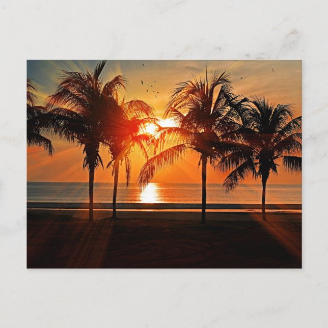 Carte Postale Coucher de soleil tropical (Devant)