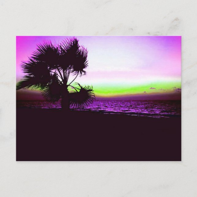 Carte Postale Coucher de soleil tropical (Devant)