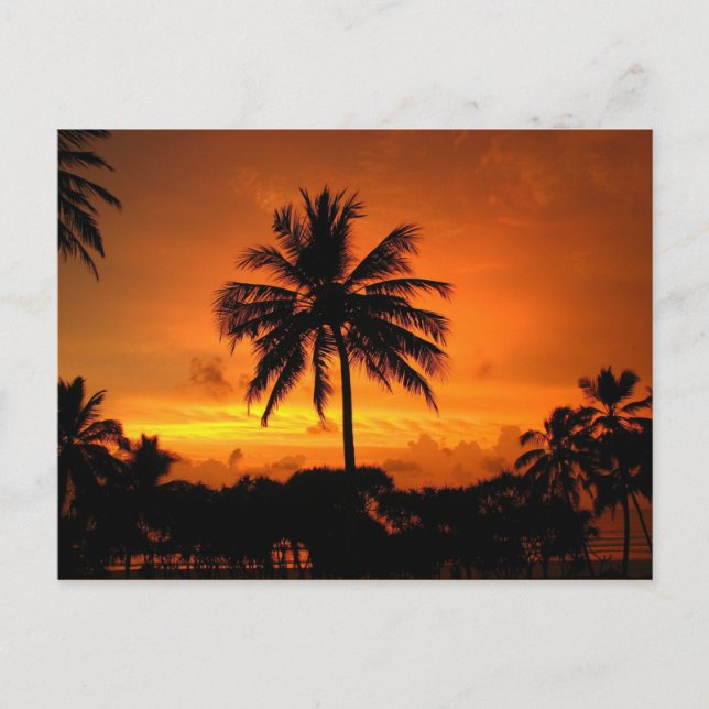Carte Postale Coucher de soleil tropical étonnant (Devant)
