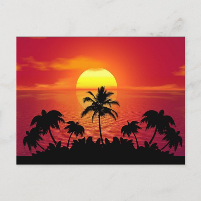 Carte Postale Coucher de soleil tropical Palmiers Silhouette Pla (Devant)