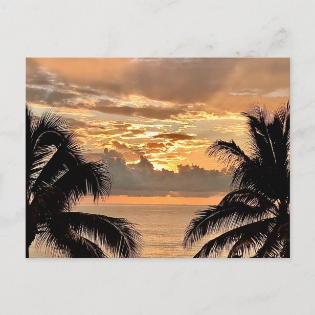 Carte Postale Coucher de soleil tropical Puerto Vallarta (Devant)