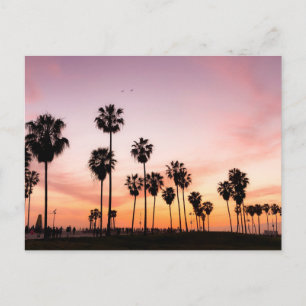 Carte Postale Coucher de soleil (Venice Beach, CA)