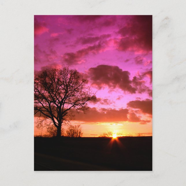 Carte Postale Coucher de soleil violet (Devant)
