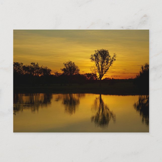 Carte Postale Coucher de soleil, Yellow Water Billabong (Devant)