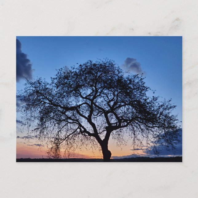 Carte Postale Coucher du soleil (Devant)