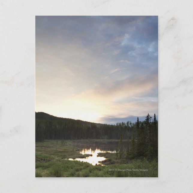 Carte Postale Coucher du soleil au-dessus d'un étang brumeux (Devant)