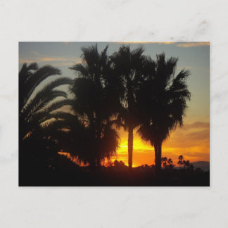 Carte Postale Coucher du soleil de la côte Pacifique