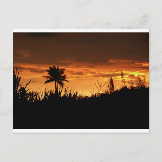 Carte Postale Coucher du soleil du Costa Rica (Devant)