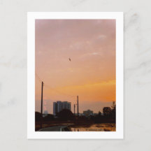 coucher du soleil sur la route nationale