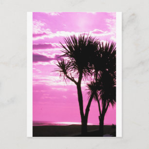 Carte Postale coucher rose