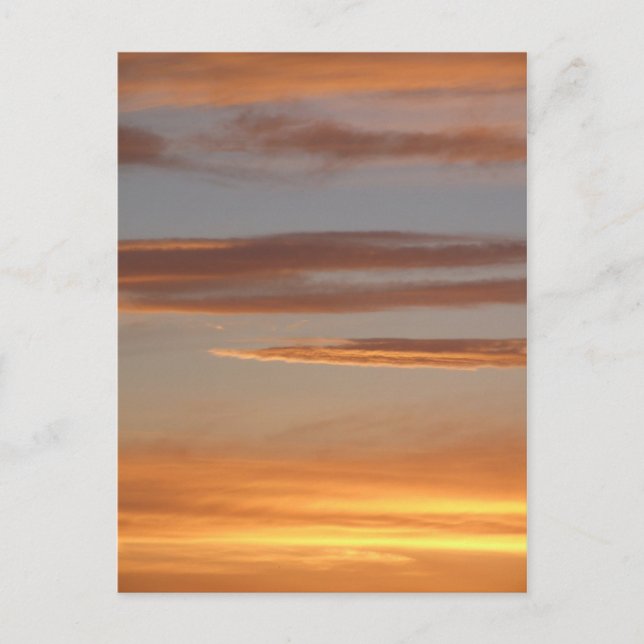 Carte postale Coude soleil orange (Devant)