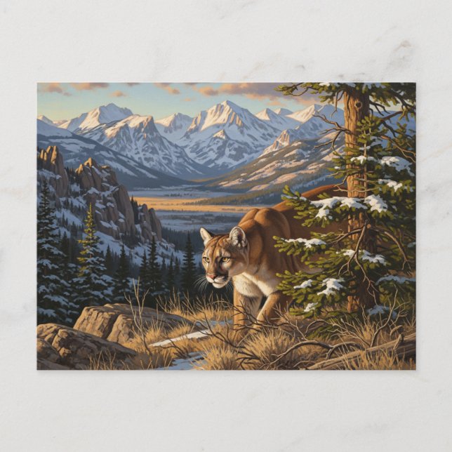 Carte Postale Cougar in Rocky Mountain National Park Voyage (Devant)