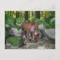 Cougar Mère Portant Cub