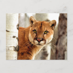 Carte Postale Cougar Photo Peinture