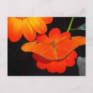 Carte Postale couleur coordonnée