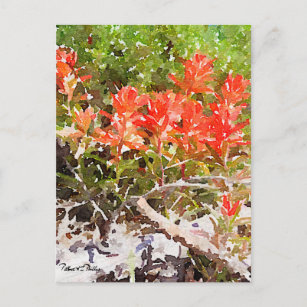 Carte Postale Couleur d'aquarelle Fleur sauvage de peinture indi