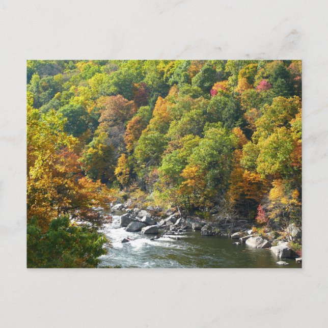 Carte Postale Couleur d'automne dans le parc d'état d'Ohiopyle (Devant)