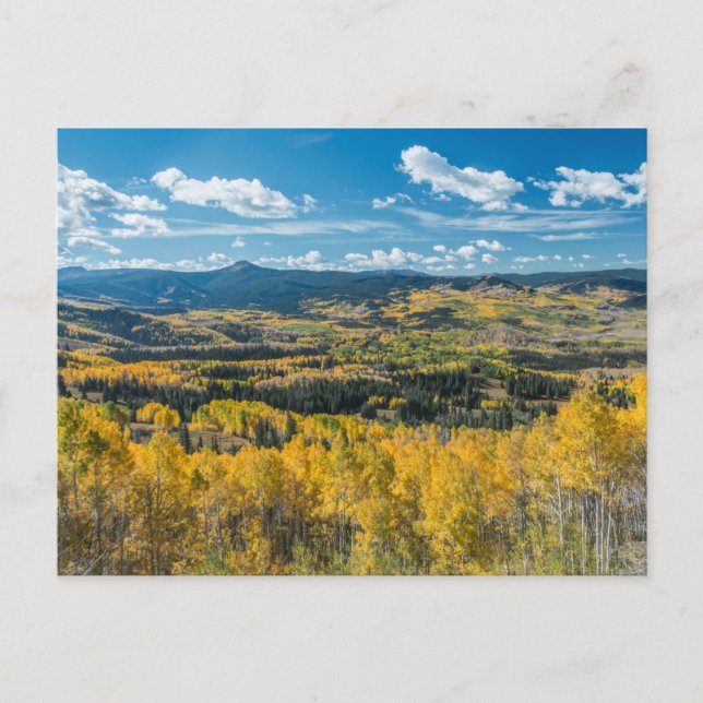 Carte Postale Couleur d'automne dans les Flat Tops | Forêt natio (Devant)