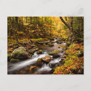 Carte Postale Couleur d'automne Jefferson Brook   Montagnes blan