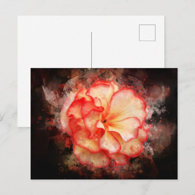Carte Postale Couleur de fleur de Begonia - bb3 (Devant / Derrière)