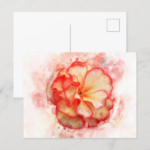 Carte Postale Couleur de la fleur de Begonia - wb3