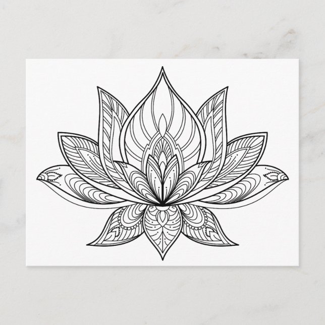 Carte Postale Couleur de votre propre lotus (Devant)