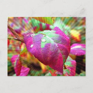 Carte postale Couleurs d'automne