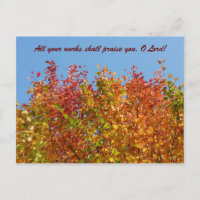 Couleurs d'automne 4