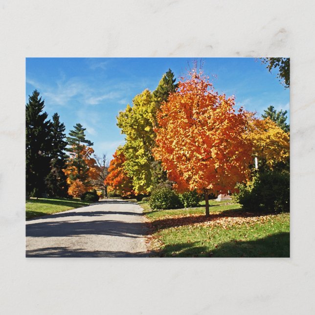 Carte Postale Couleurs d'automne à Cincinnati (Devant)