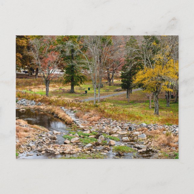 Carte Postale Couleurs d'automne à Reston Virginie (Devant)