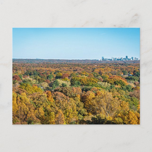 Carte Postale Couleurs d'automne à Reston Virginie (Devant)