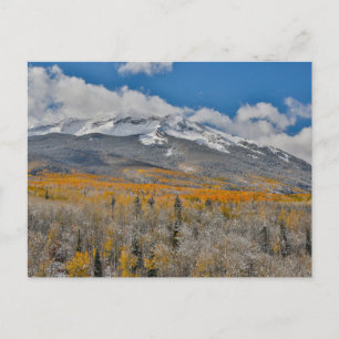 Carte Postale Couleurs d'automne Aspens &   Montagnes Rocheuses,