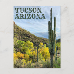 Carte Postale Couleurs d'automne Canyon Saguaro Sabino