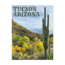 Couleurs d'automne Canyon Saguaro Sabino