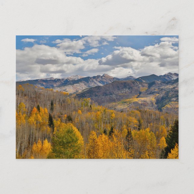 Carte Postale Couleurs d'automne des trembles et des chênes Keeb (Devant)