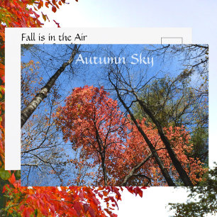 Carte Postale Couleurs d'automne du ciel automnal Photographie d