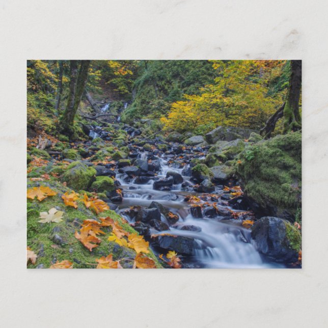 Carte Postale Couleurs d'automne le long des chutes de Starvatio (Devant)