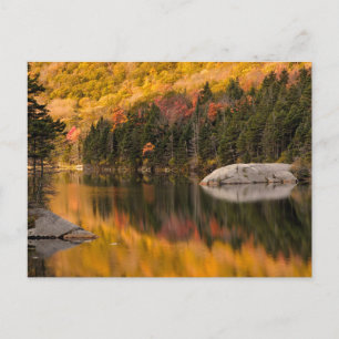 Carte Postale Couleurs d'automne reflétées sur l'étang de castor