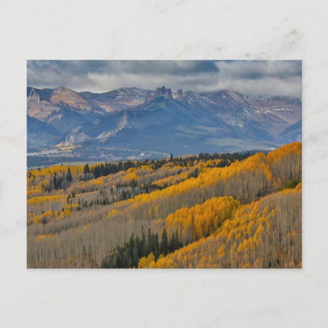 Carte Postale Couleurs d'automne sur Aspen Groves (Devant)