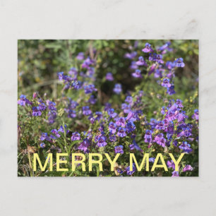 Carte Postale Couleurs de Californie : Joyeux mai