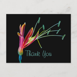 Carte Postale Couleurs de la Gay Rainbow florale Merci