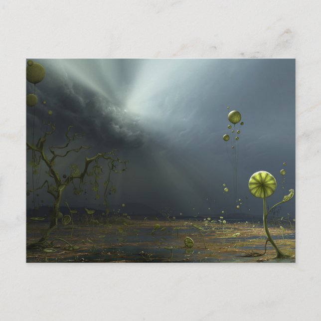 Carte Postale Couleurs de la tempête (Devant)